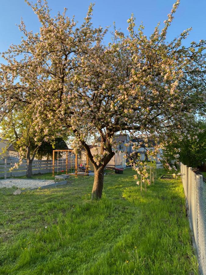 Apartament Tokarnia Duza 126 מראה חיצוני תמונה